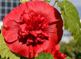 Similar image 20983491