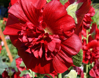 Similar image 20983493