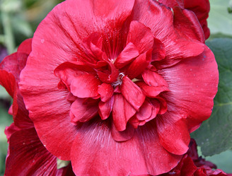 Similar image 20983494