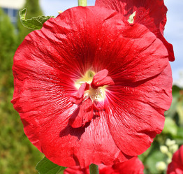 Similar image 20983495