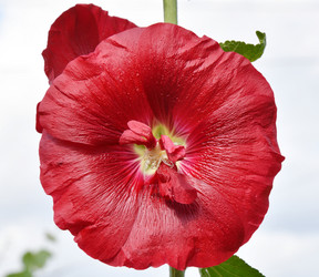 Similar image 20983496