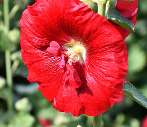 Similar image 20983497