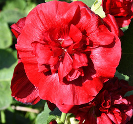 Similar image 20983498