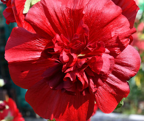 Similar image 20983499