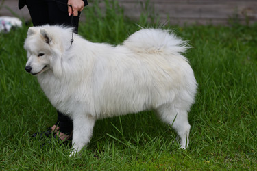 Similar image 20983350