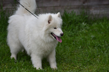 Similar image 20983351