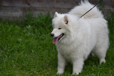 Similar image 20983352