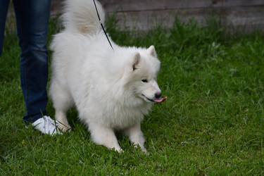 Similar image 20983356