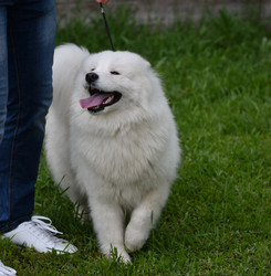 Similar image 20983357