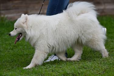 Similar image 20983358