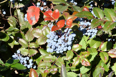 Similar image 20983502