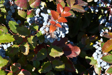 Similar image 20983503