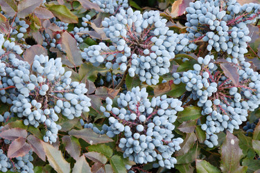 Similar image 20983504