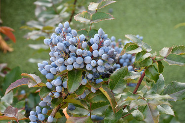 Similar image 20983505