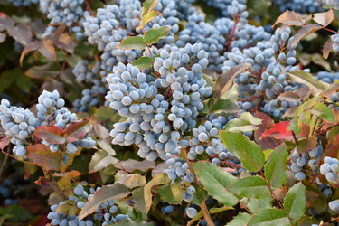 Similar image 20983506