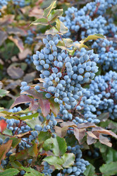 Similar image 20983507