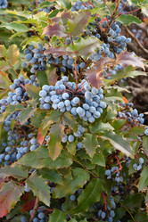 Similar image 20983508