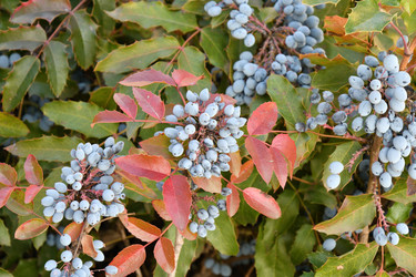 Similar image 20983509