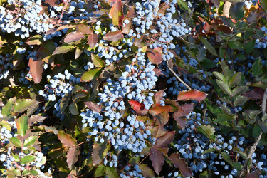 Similar image 20983510