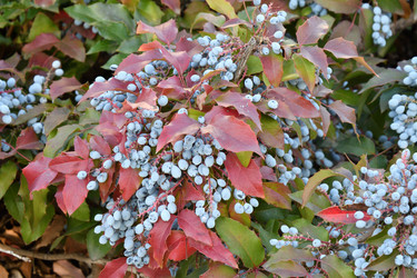 Similar image 20983511