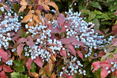 Similar image 20983512