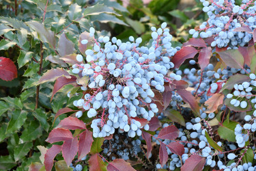 Similar image 20983513