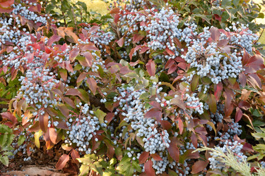 Similar image 20983514