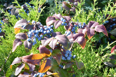 Similar image 20983516