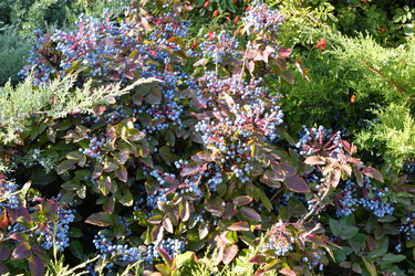 Similar image 20983517