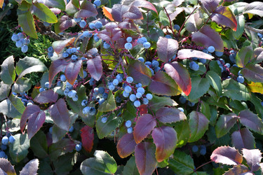 Similar image 20983518