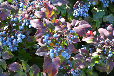 Similar image 20983519