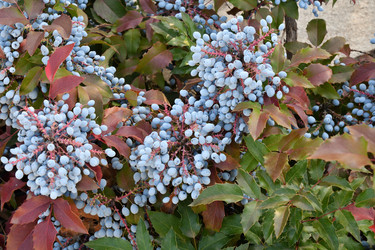 Similar image 20983520