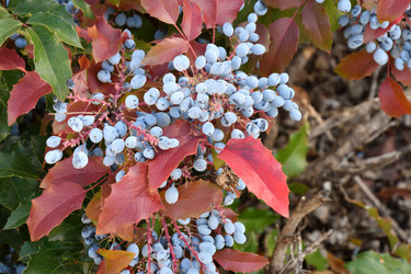 Similar image 20983521