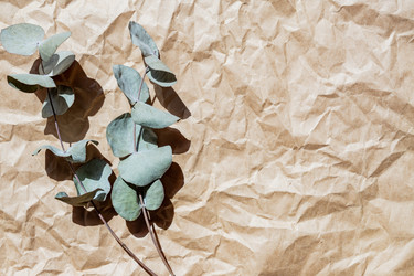 Similar image 20981685