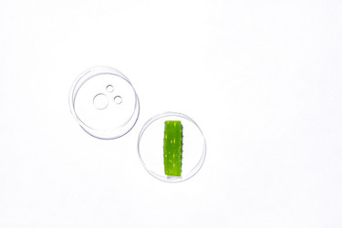 Similar image 20981687