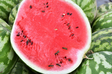 Similar image 20983369