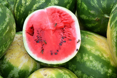 Similar image 20983373