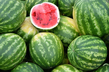 Similar image 20983374