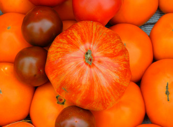 Similar image 20983377