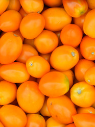 Similar image 20983378