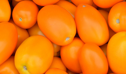 Similar image 20983379