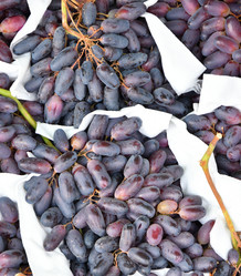 Similar image 20983523