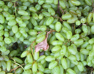 Similar image 20983525