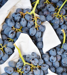 Similar image 20983530