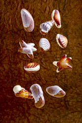 Similar image 20983668