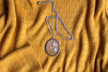 Similar image 20981169