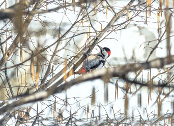 Similar image 20981725