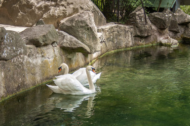 Similar image 20981726