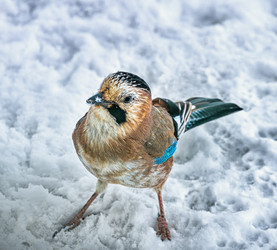 Similar image 20981727