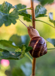 Similar image 20981730